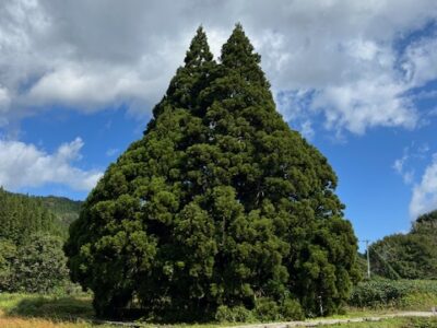 散歩に行ってきました(^▽^)/